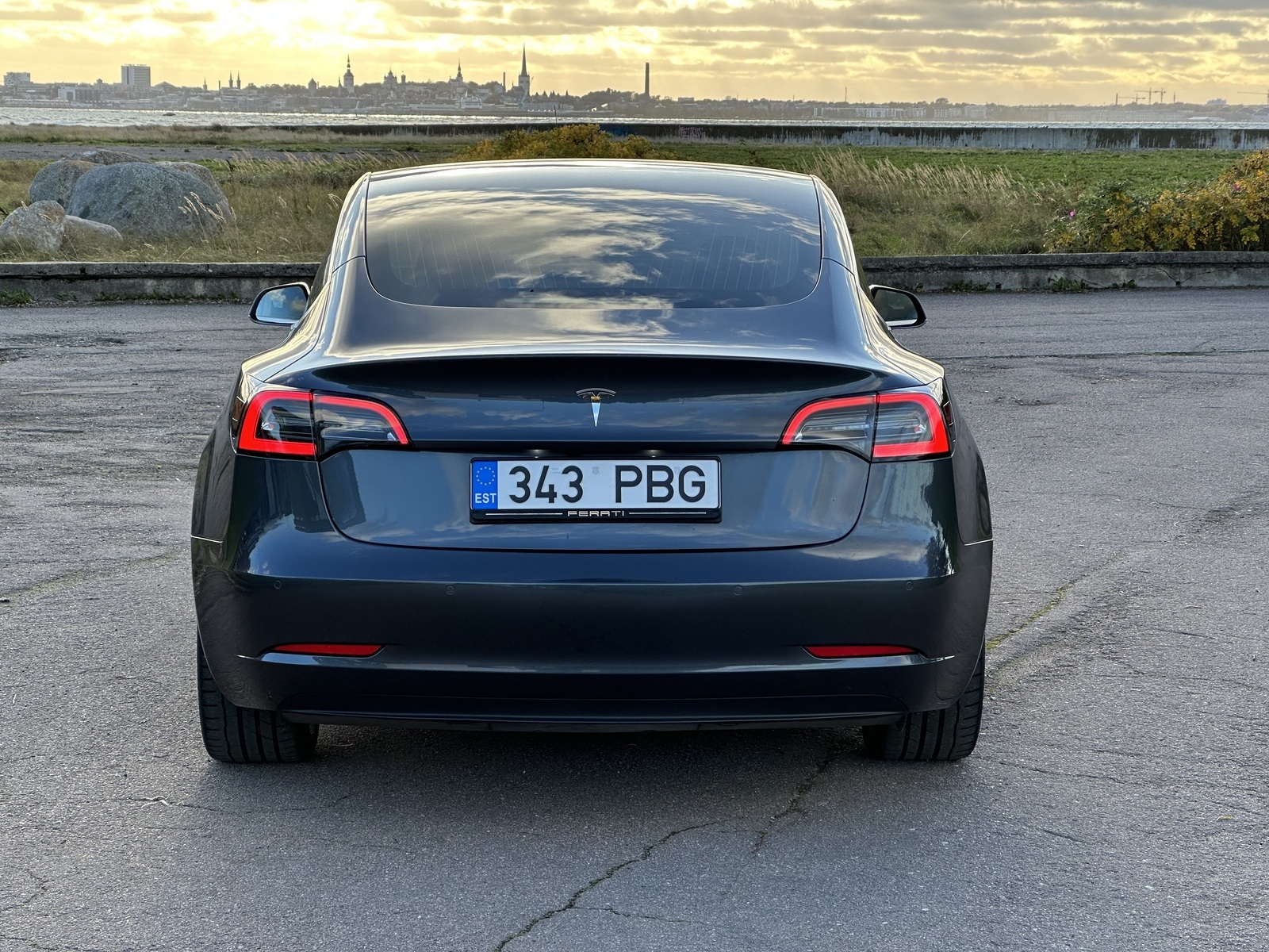 Tesla Model 3 2020, photo 5/10
