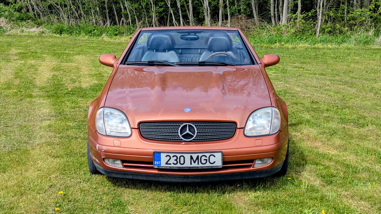 Mercedes-Benz SLK 230 2000, photo 6/11