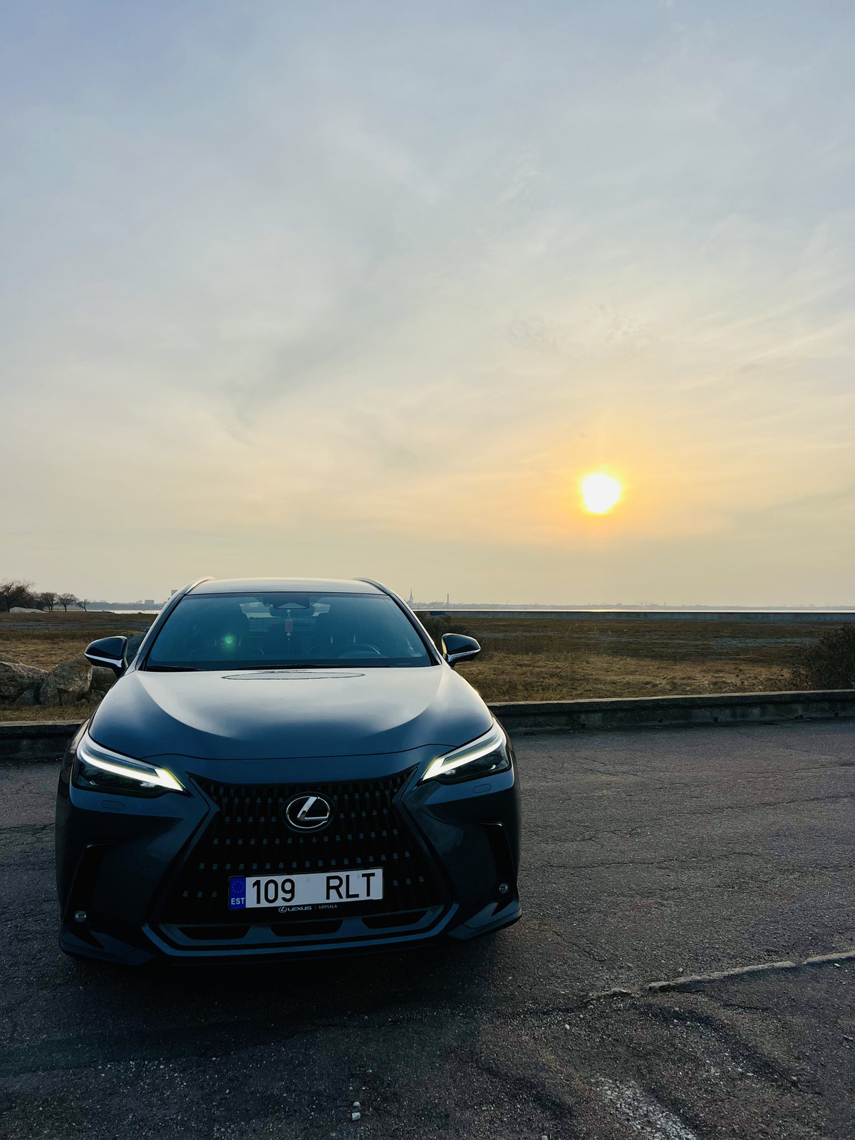 Lexus NX 350h 2023, kuva 2/9