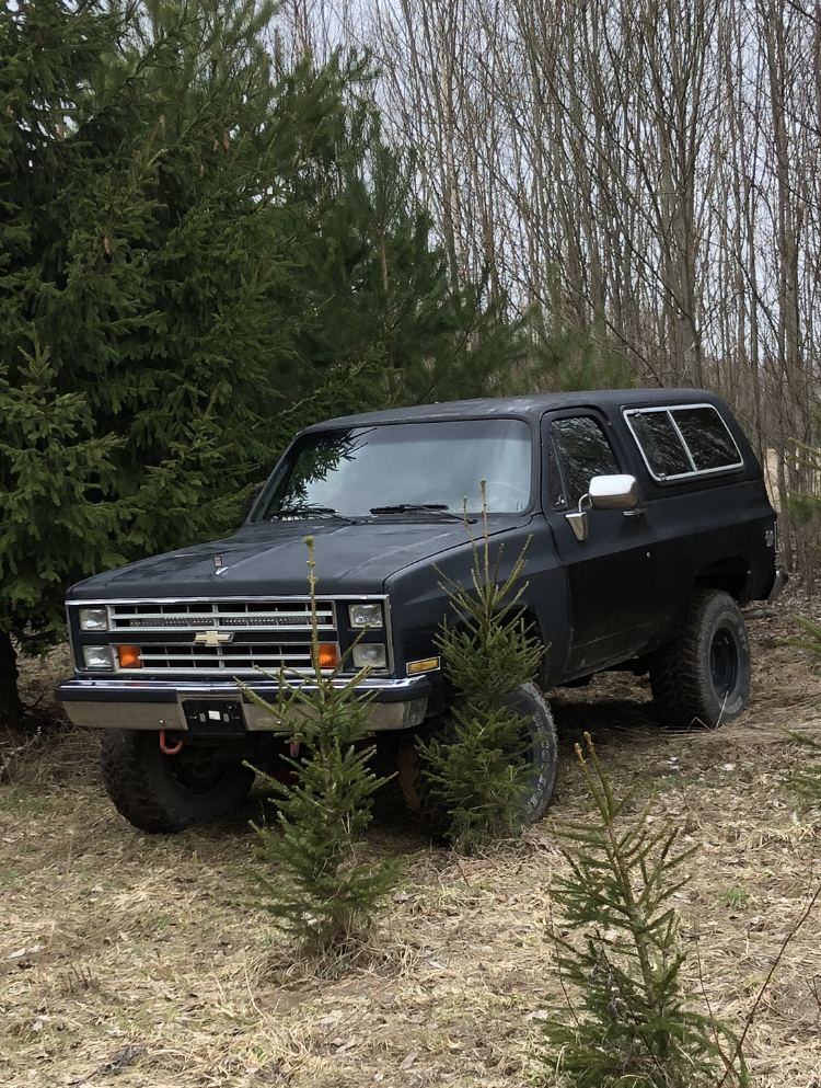 Chevrolet Blazer 1988, photo 2/6