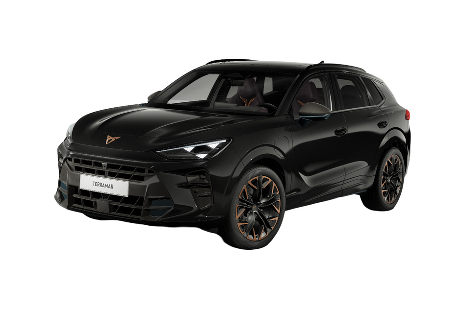 Cupra Terramar, 2.0, 195 kW, petrol, automatic, four-wheel drive