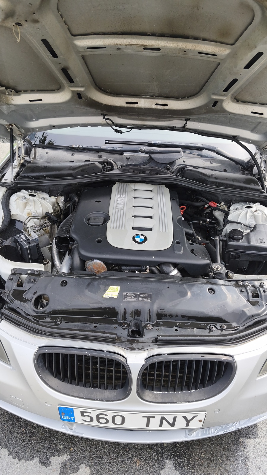BMW 525 2005, photo 7/7