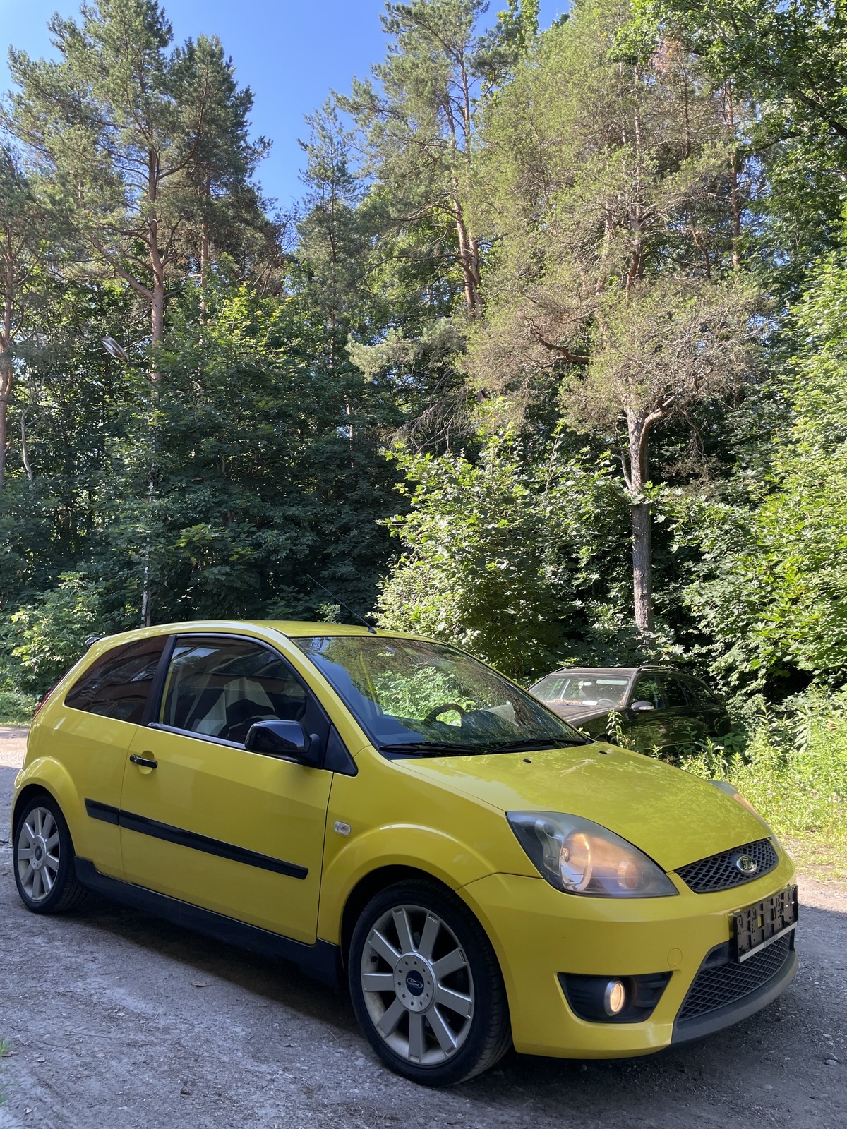 Ford Fiesta ST 2007, photo 5/30
