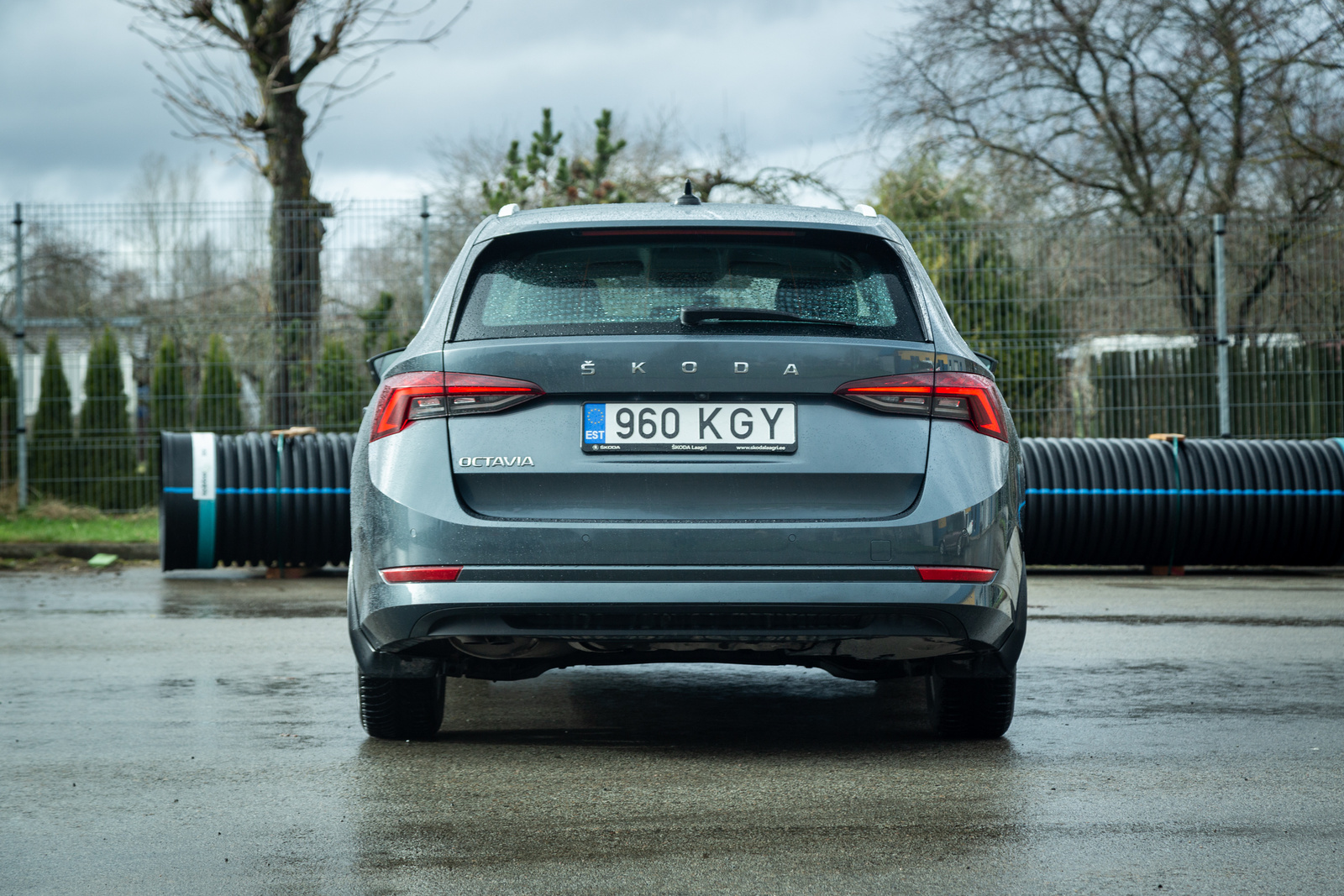 Škoda Octavia 2020, photo 3/16