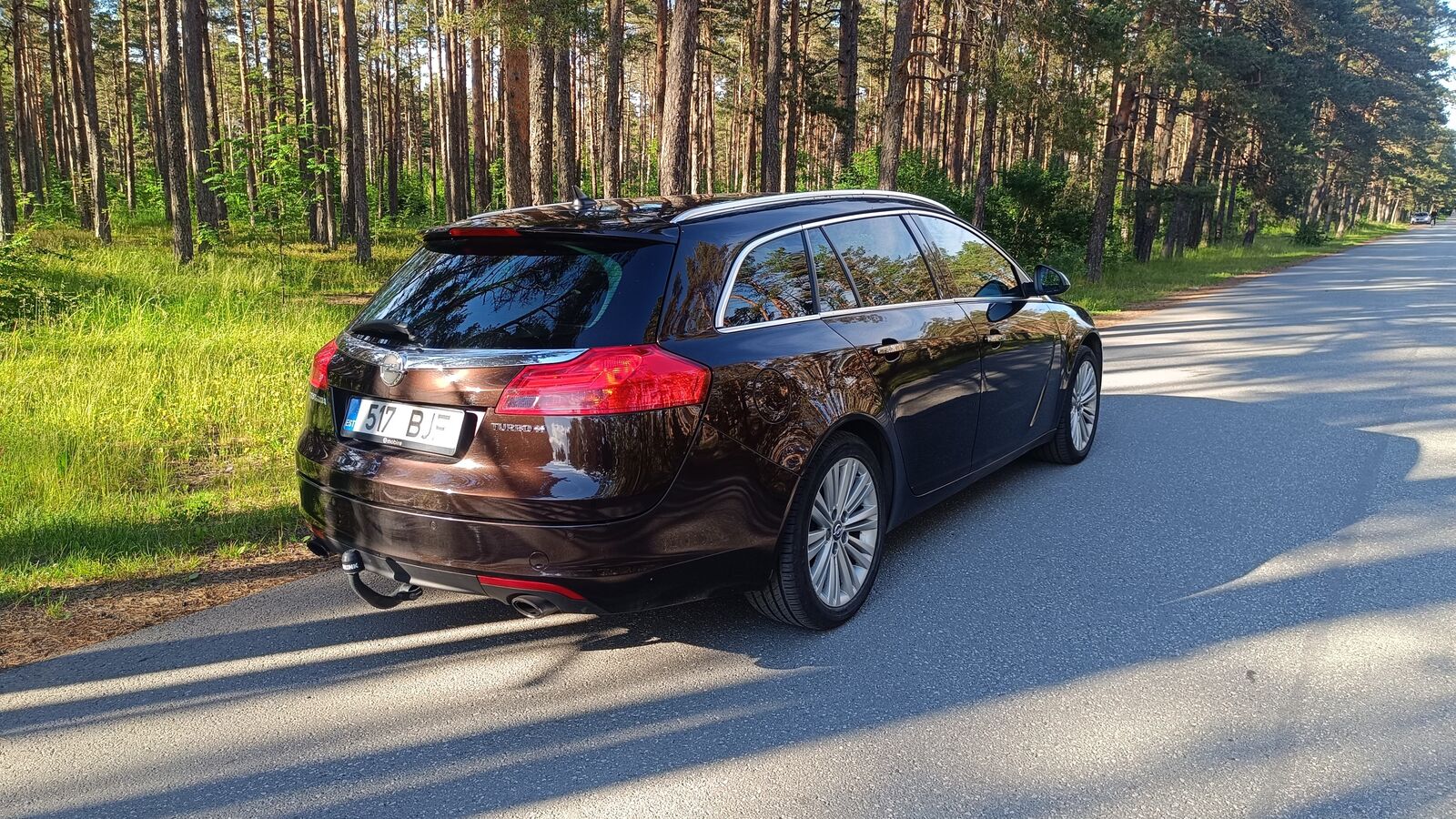 Opel Insignia 2013, photo 6/12