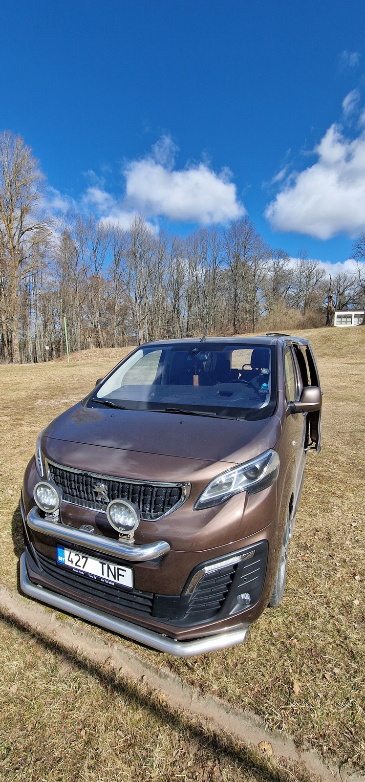 Peugeot Traveller 2018, photo 6/10
