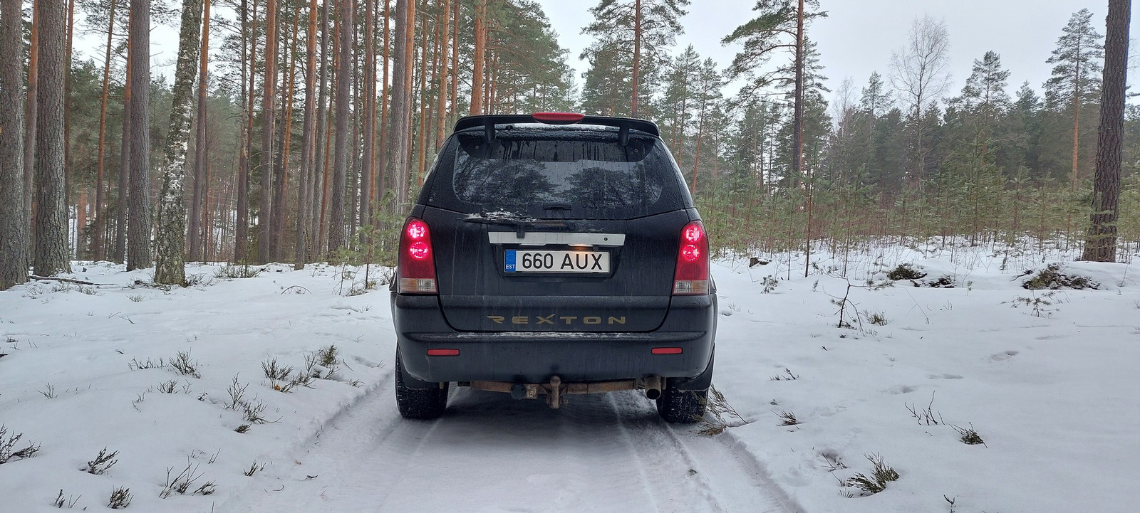 Ssangyong Rexton 2005, kuva 5/11