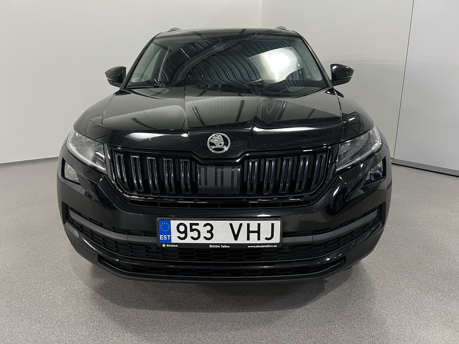 Škoda Kodiaq 2021, photo 2/17