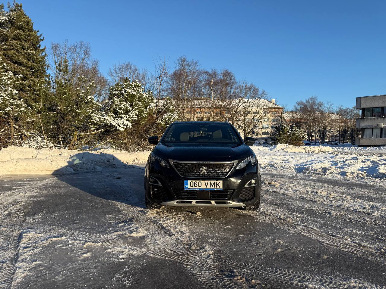 Peugeot 3008 2019, photo 2/17