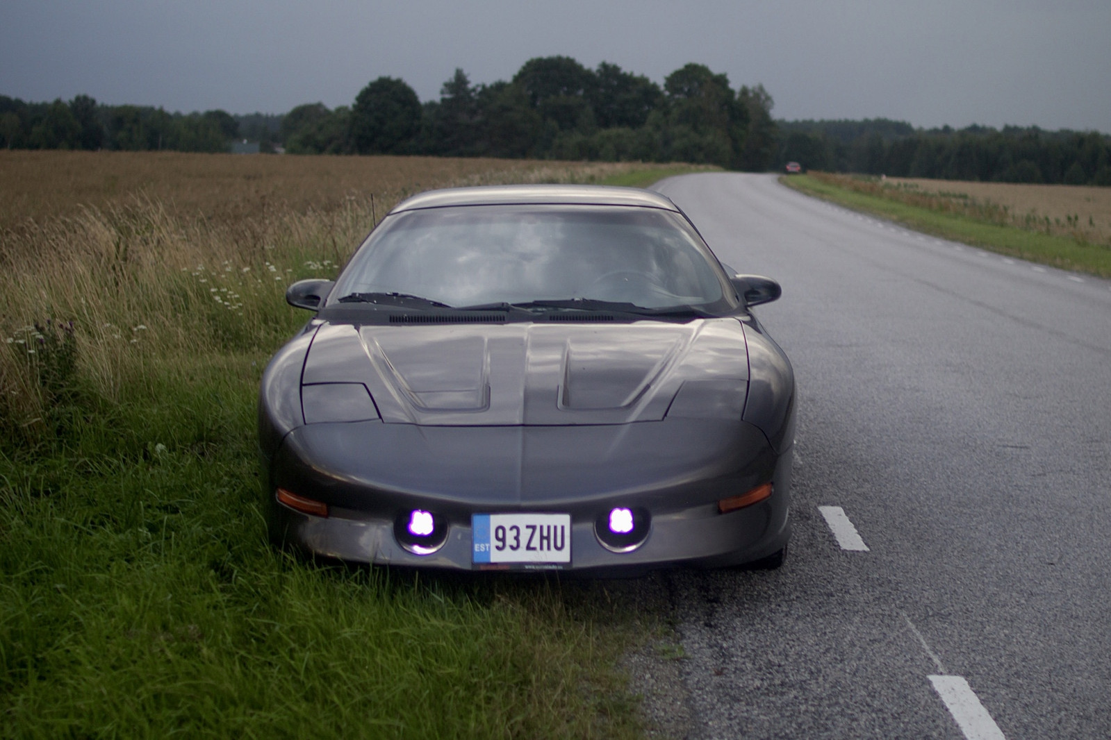 Pontiac Firebird 1993, photo 4/9