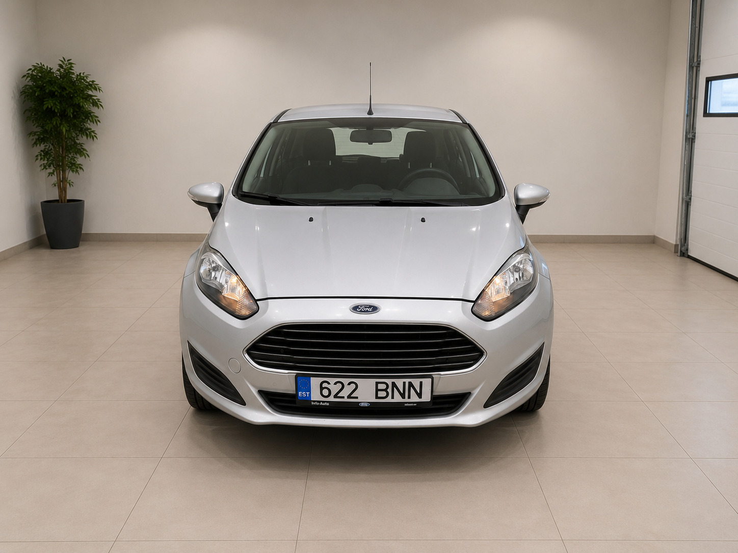 Ford Fiesta 2015, photo 2/10