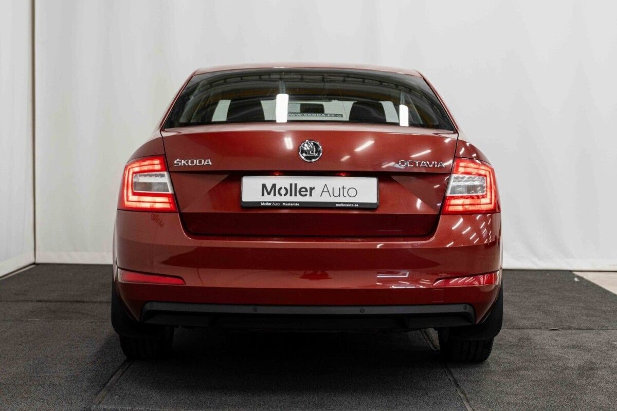 Škoda Octavia 2016, photo 4/16