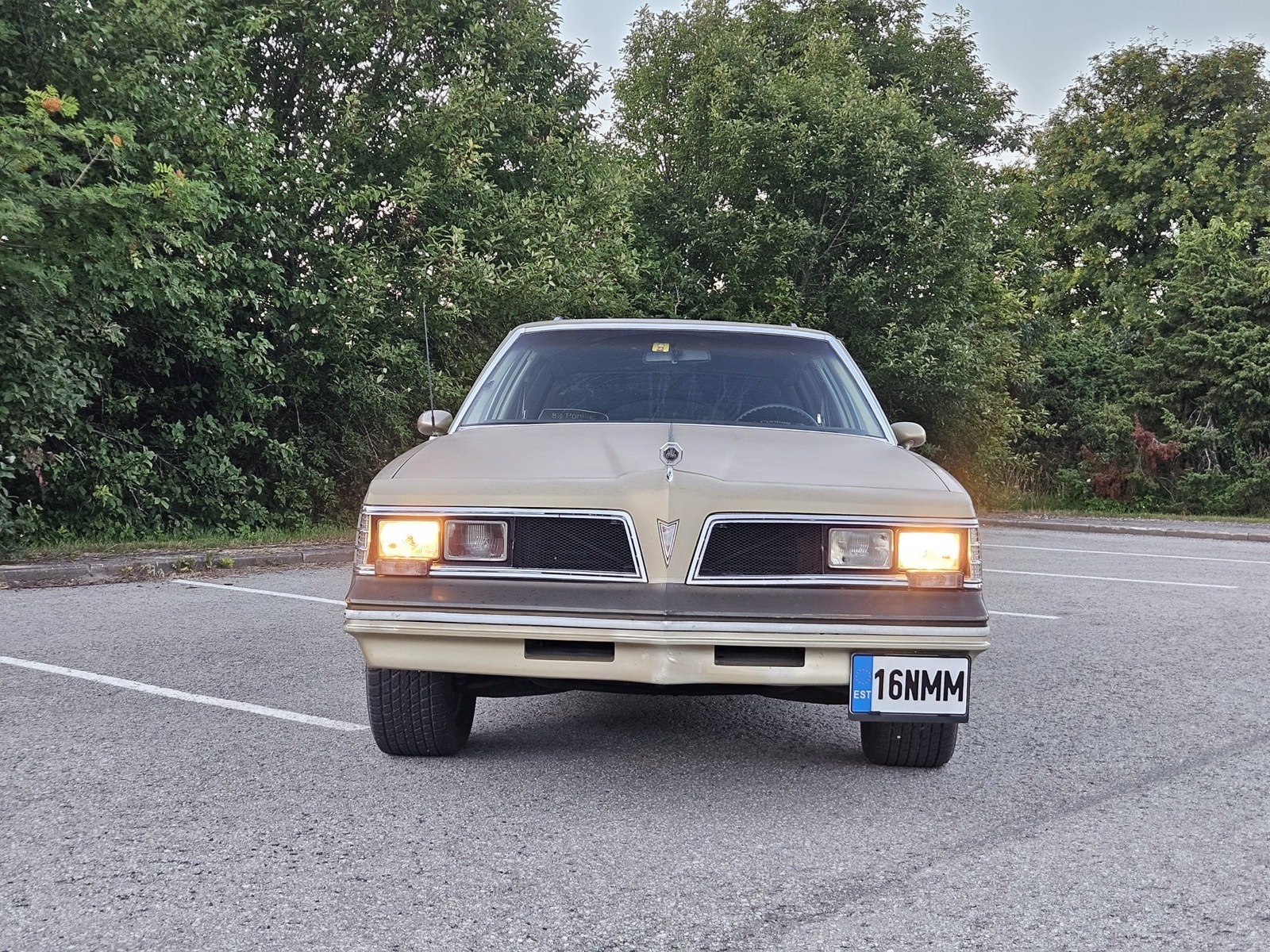 Pontiac GRAND LE MANS 1982, photo 7/60