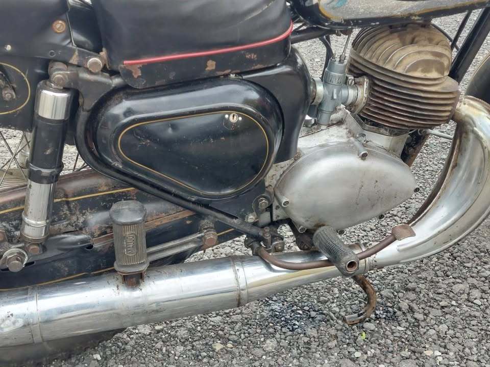 Triumph 1955, photo 7/9