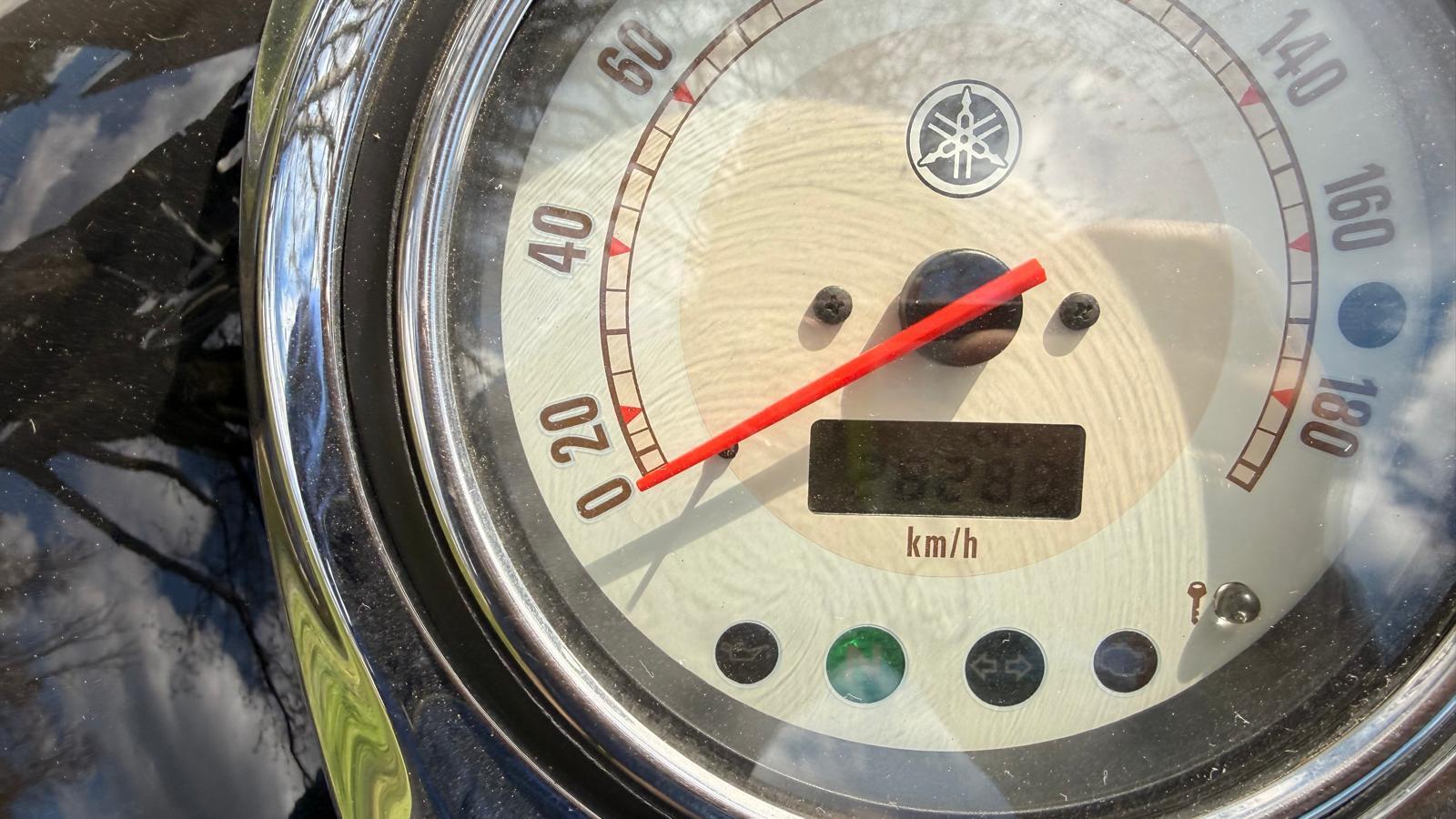 Yamaha XVS 1100A 2007, photo 6/6