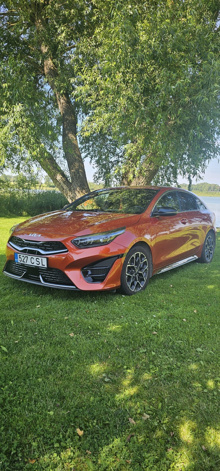 Kia Ceed: ProCeed 1.5 118kW