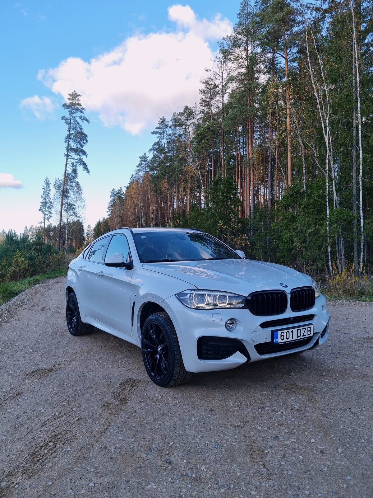 BMW X6 2016, photo 4/23