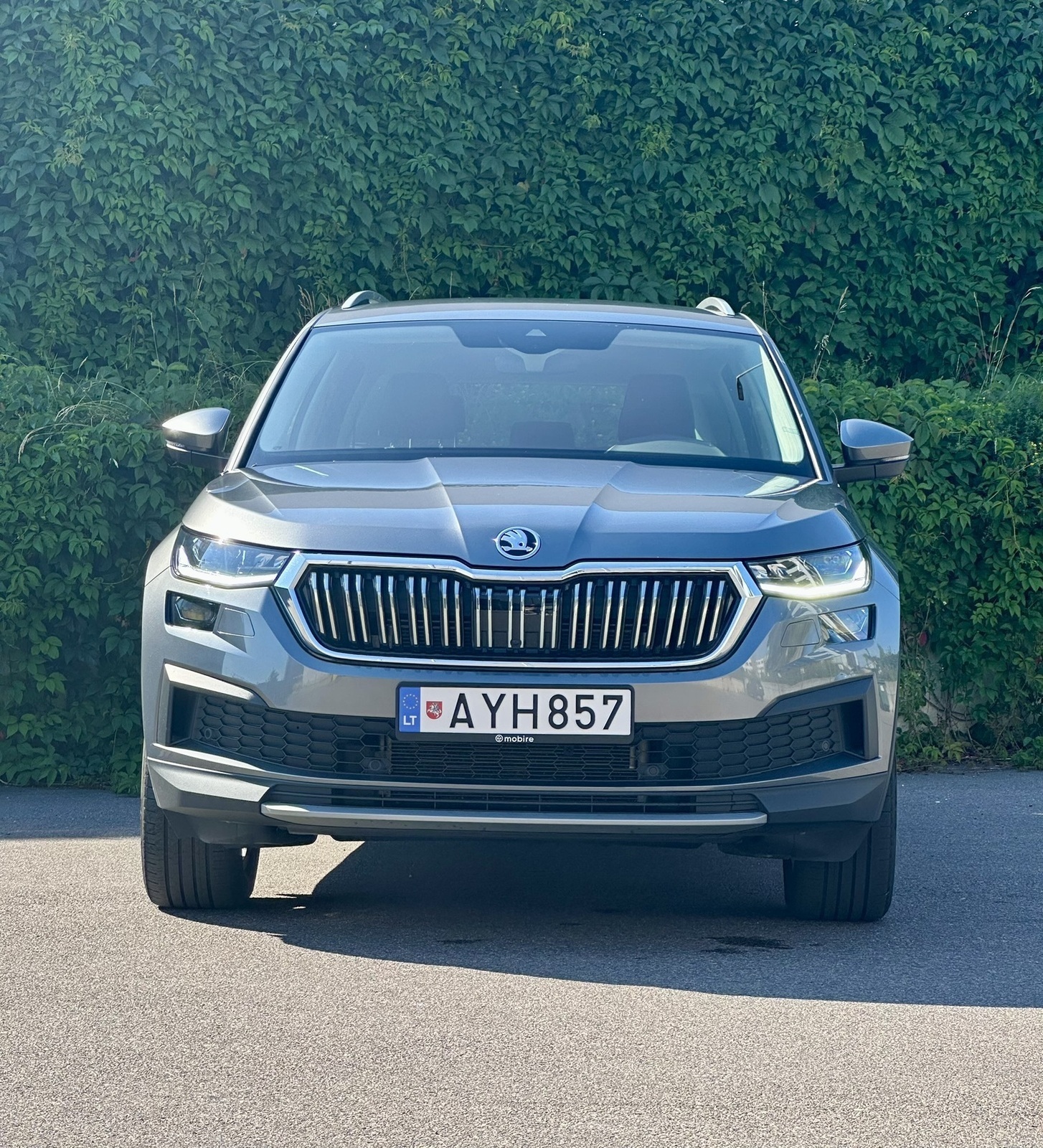 Škoda Kodiaq 2024, photo 2/19