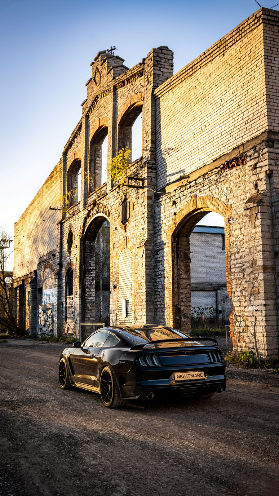 Ford Mustang 2017, photo 4/12