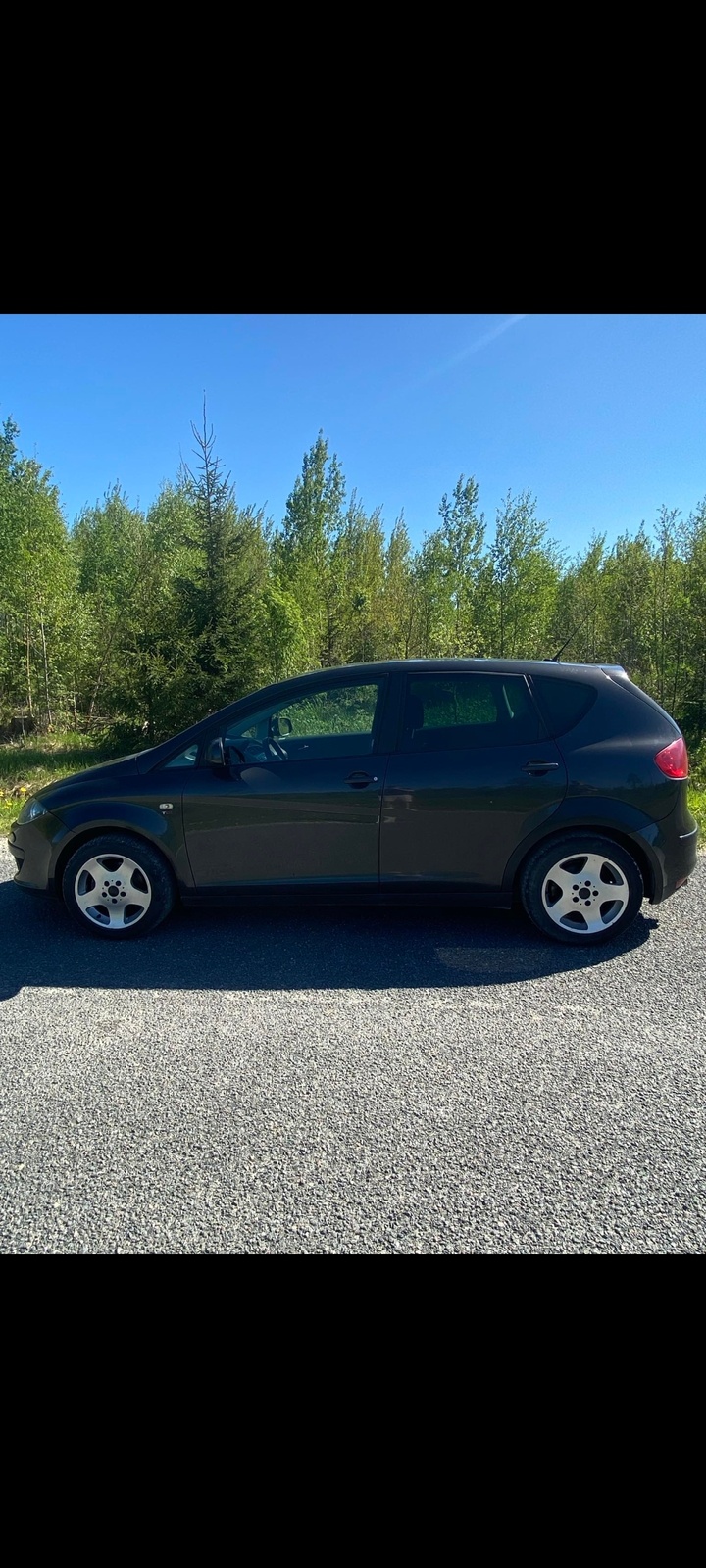 SEAT Altea 2004, photo 5/5