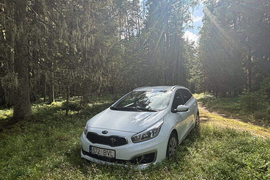 Kia cee'd / Ceed, 2017, 1.6, 99 kW, petrol, automatic, front-wheel drive