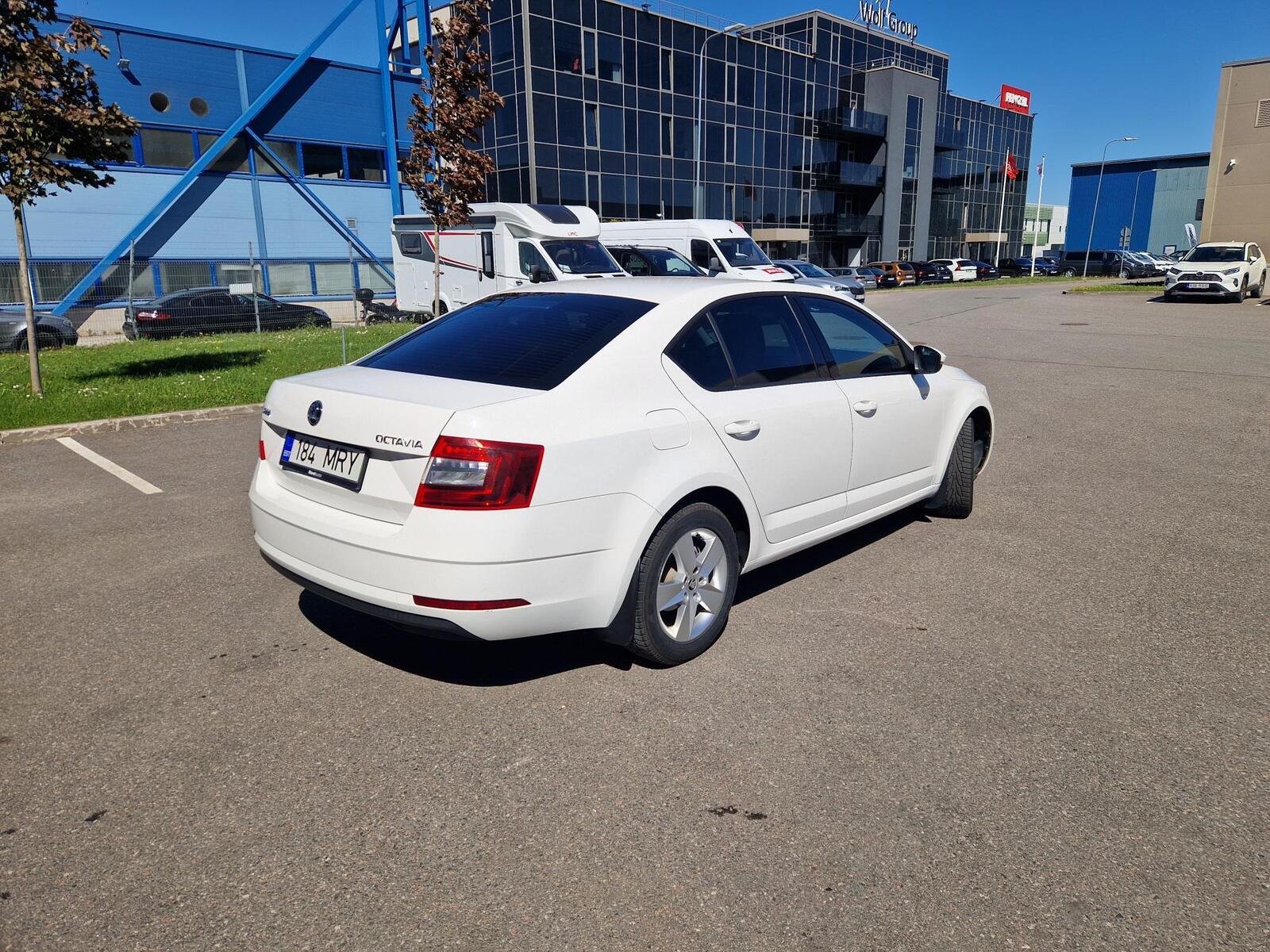 Škoda Octavia 2018, photo 6/10