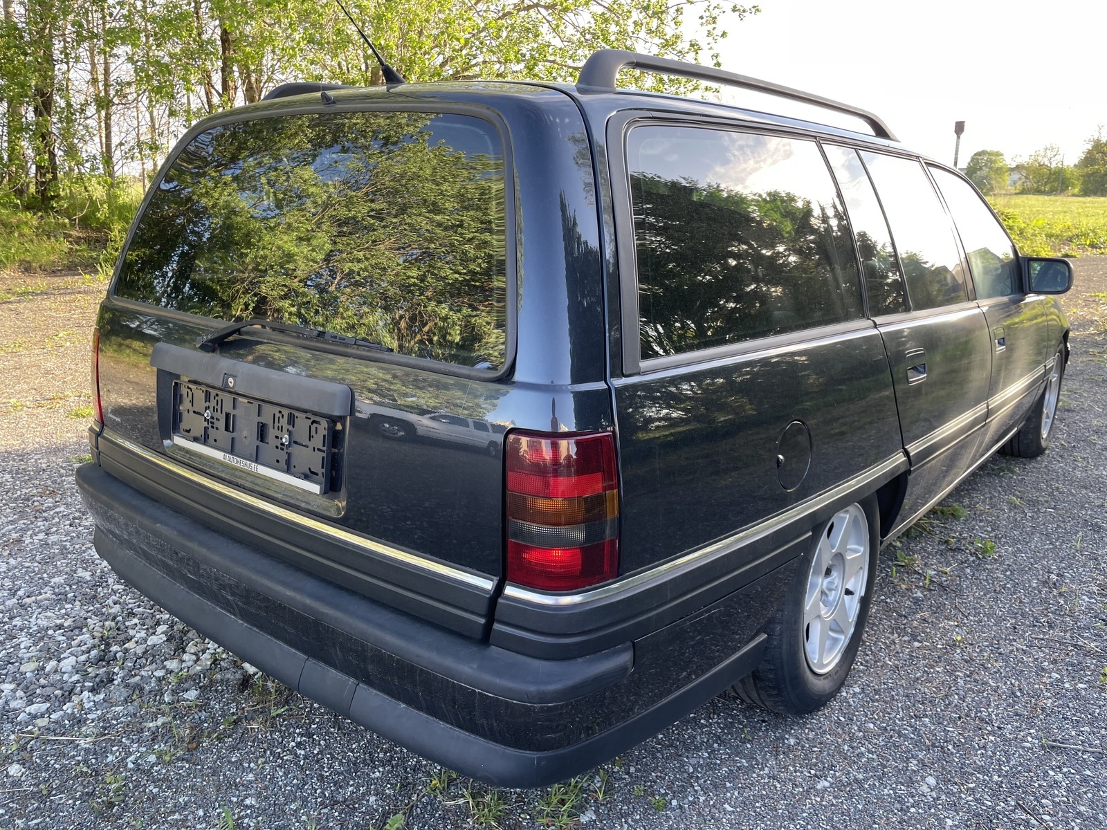 Opel Omega 1993, photo 6/10