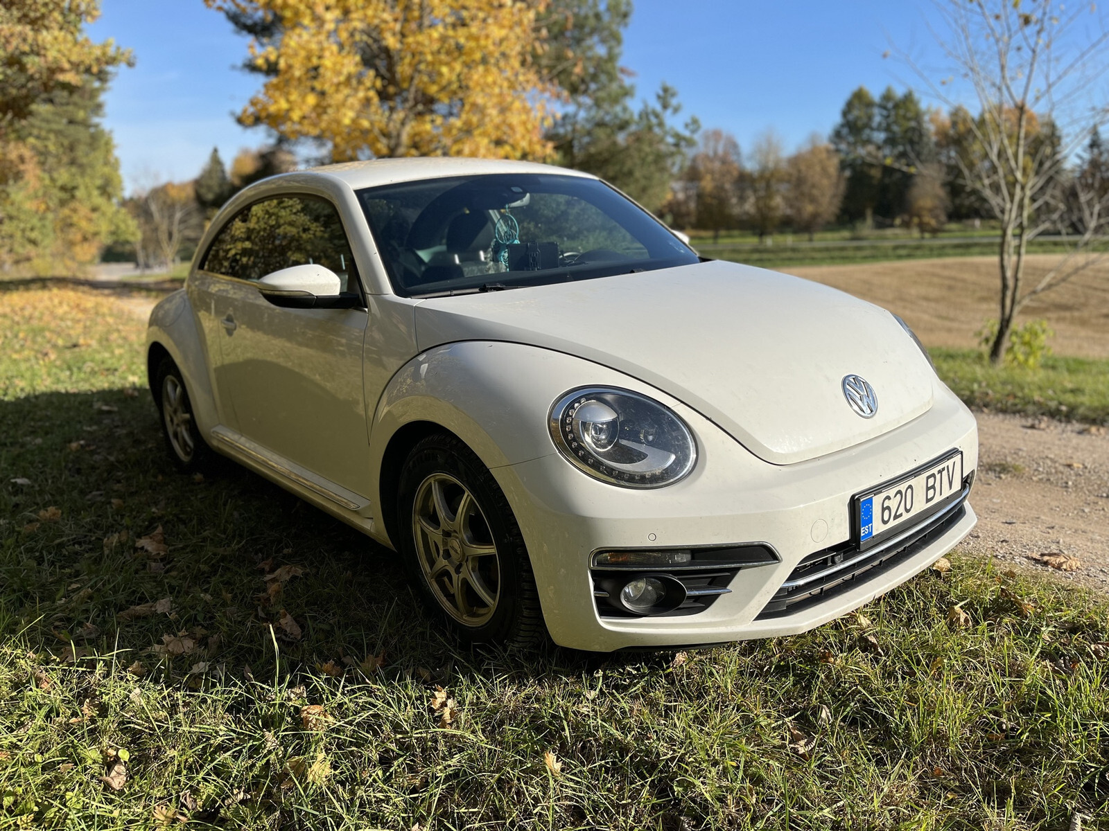 Volkswagen Beetle 2017, photo 2/11