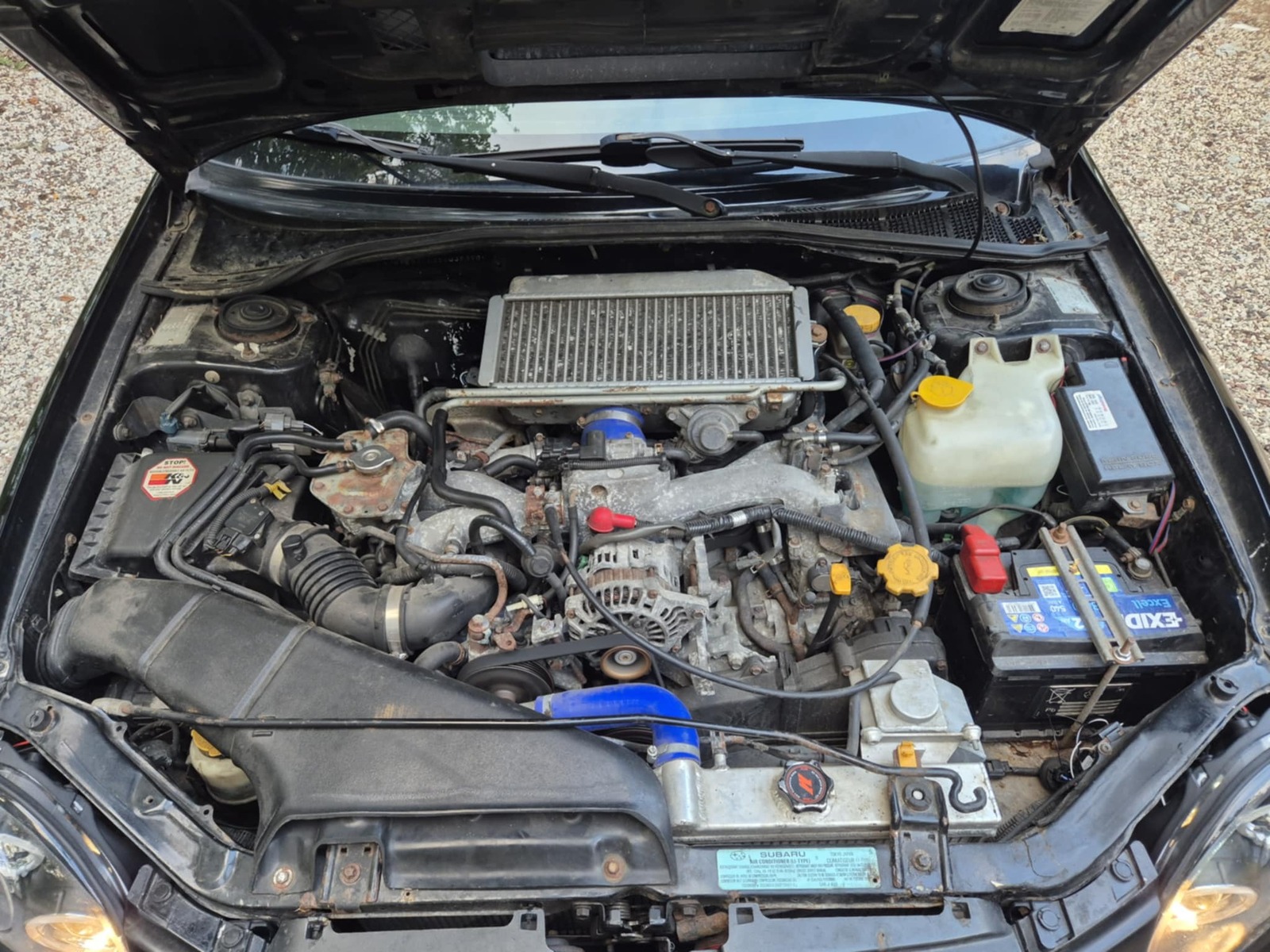 Subaru Impreza WRX 2002, photo 6/6