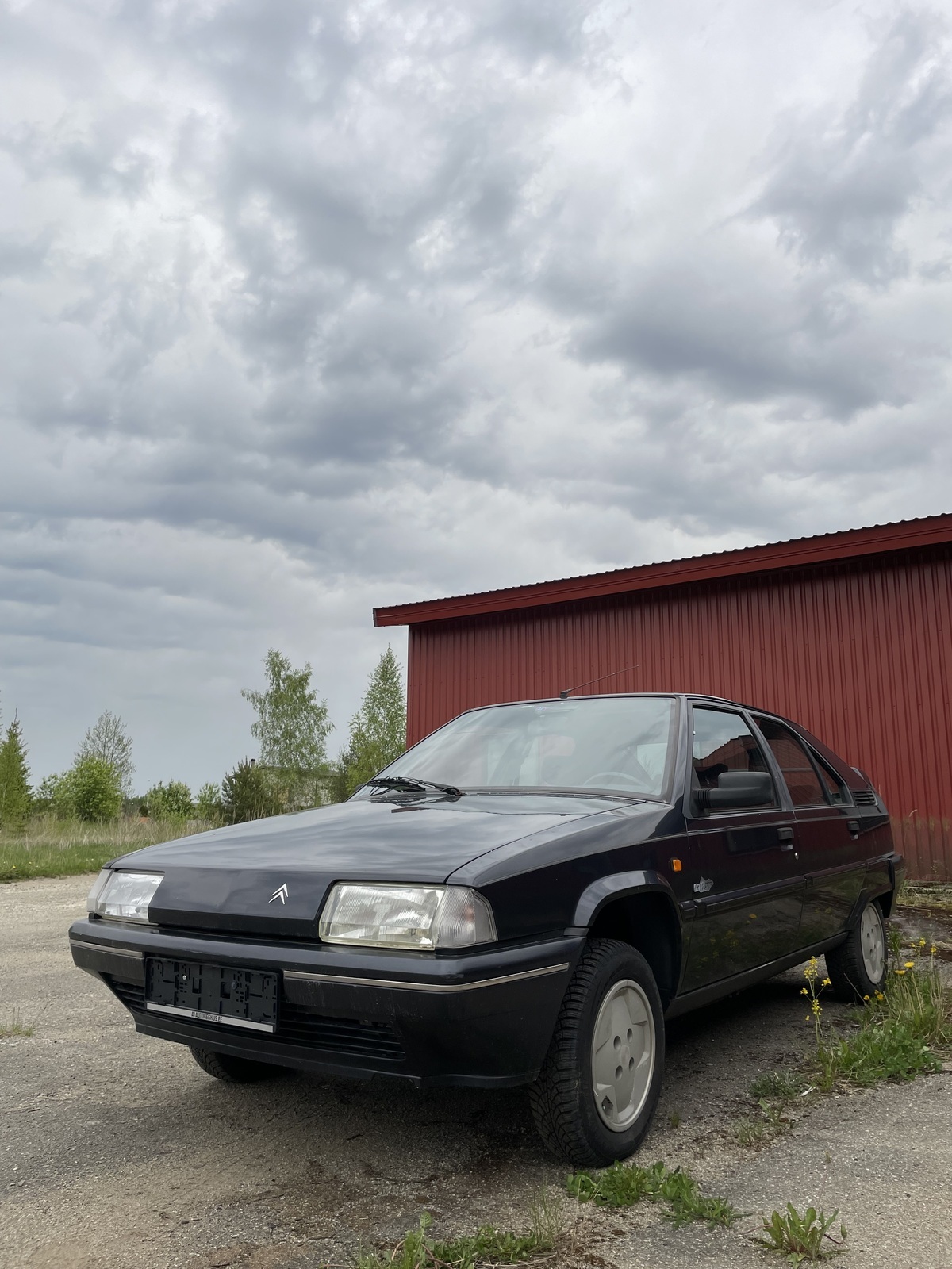 Citroën BX 1992, photo 4/31