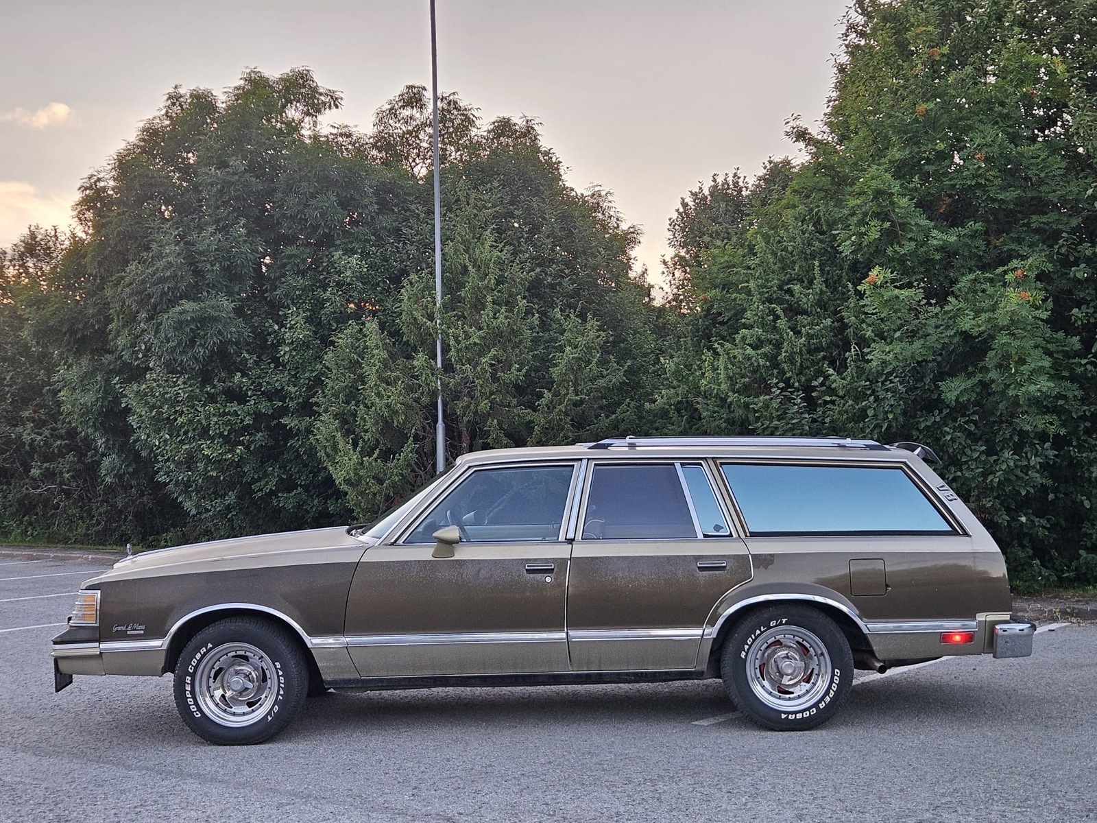 Pontiac GRAND LE MANS 1982, photo 5/60