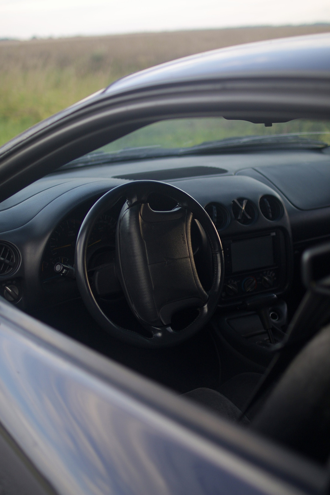 Pontiac Firebird 1993, photo 7/9