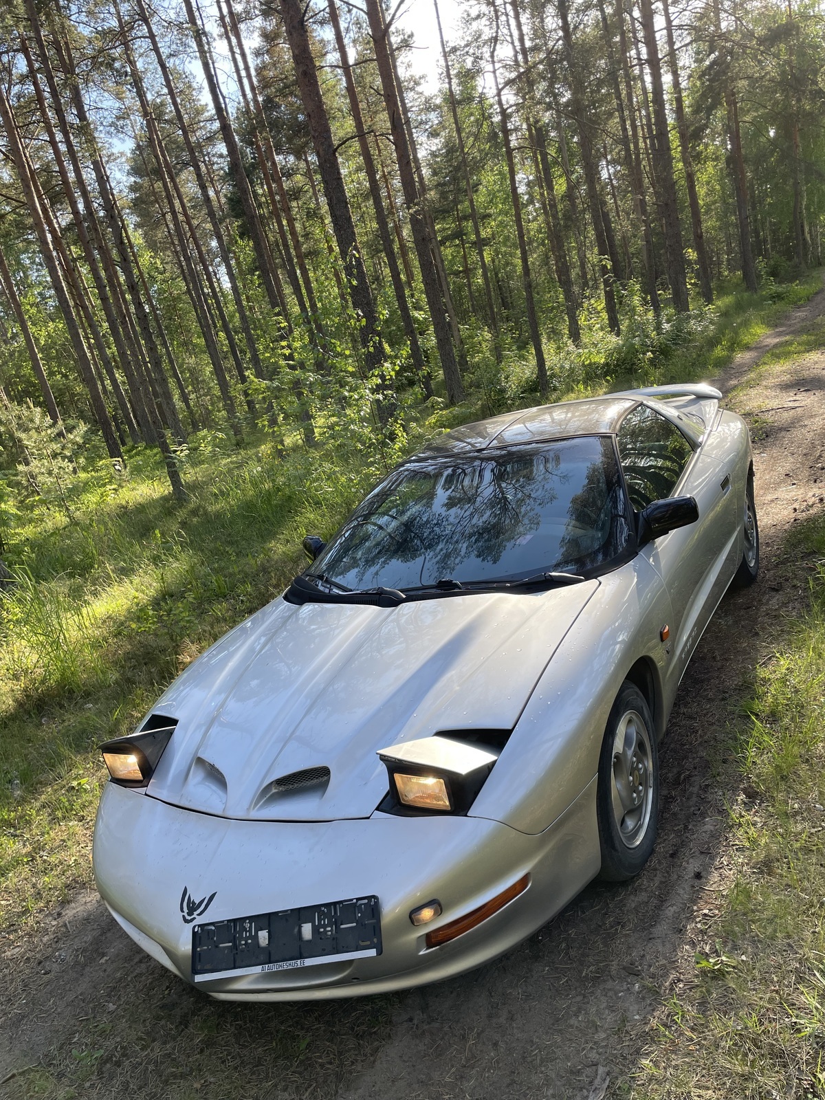 Pontiac Firebird 1996, kuva 5/44