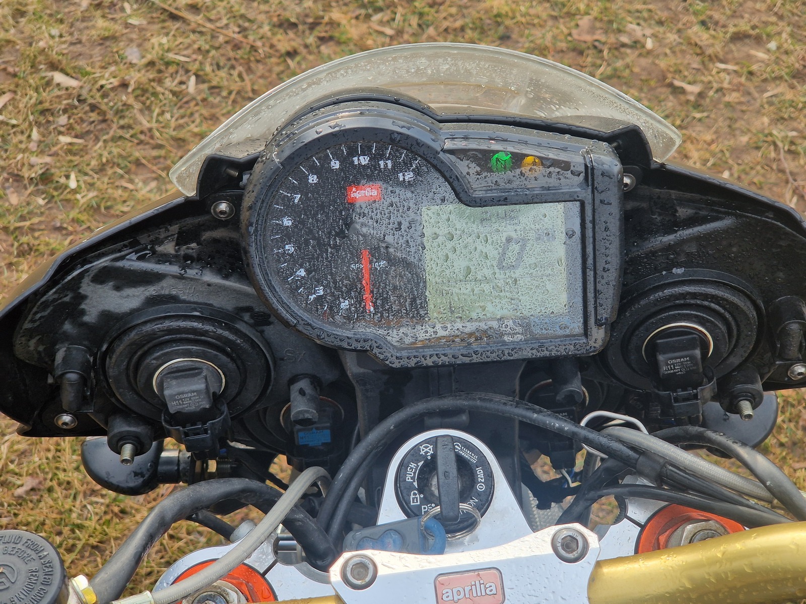 Aprilia RSV 2006, kuva 6/6