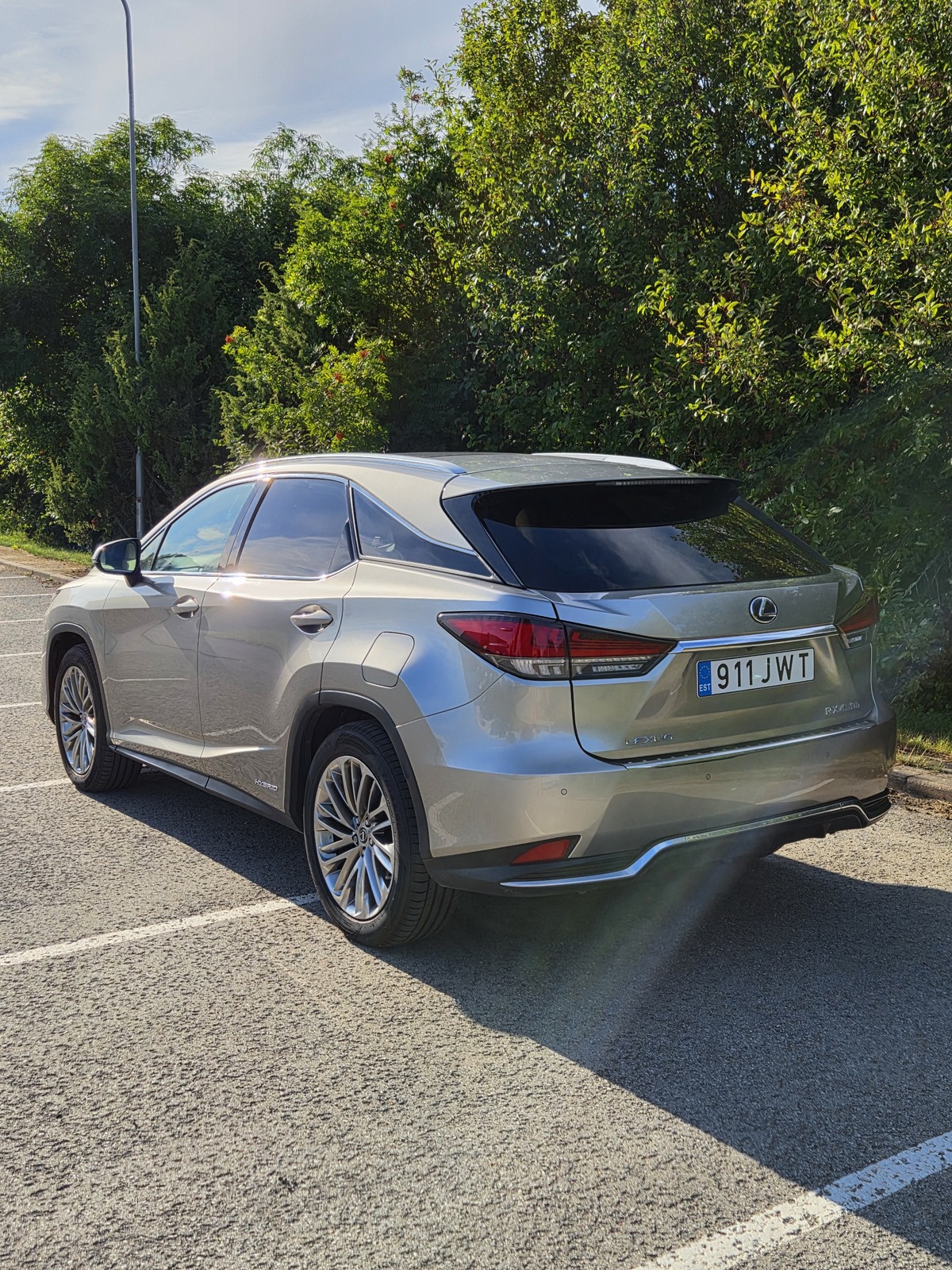 Lexus RX 450 2019, photo 3/14