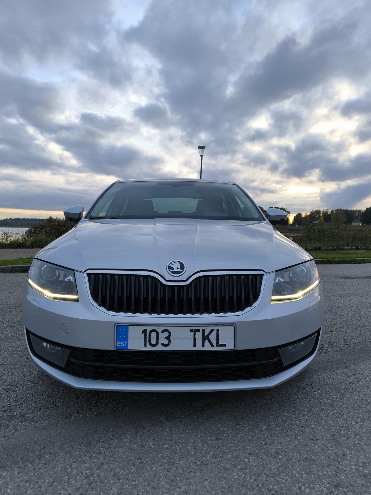 Škoda Octavia 2013, photo 5/20