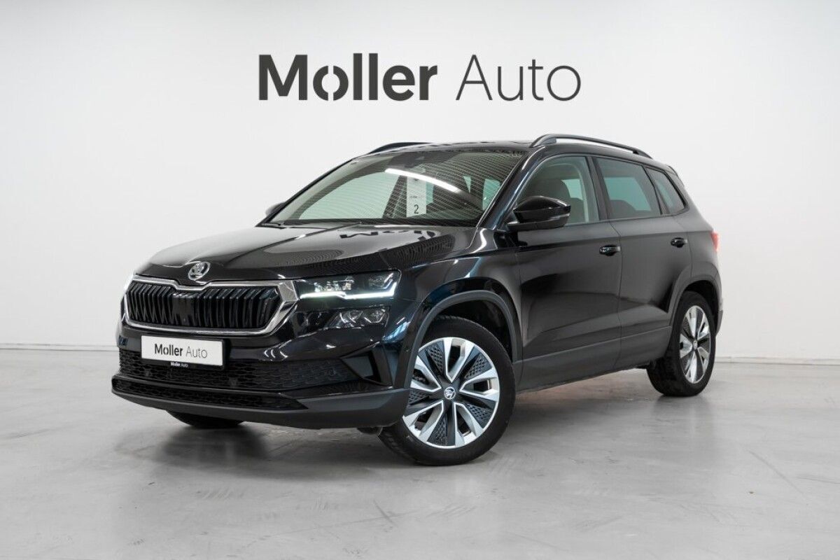 Škoda Karoq 2022, photo 5/33