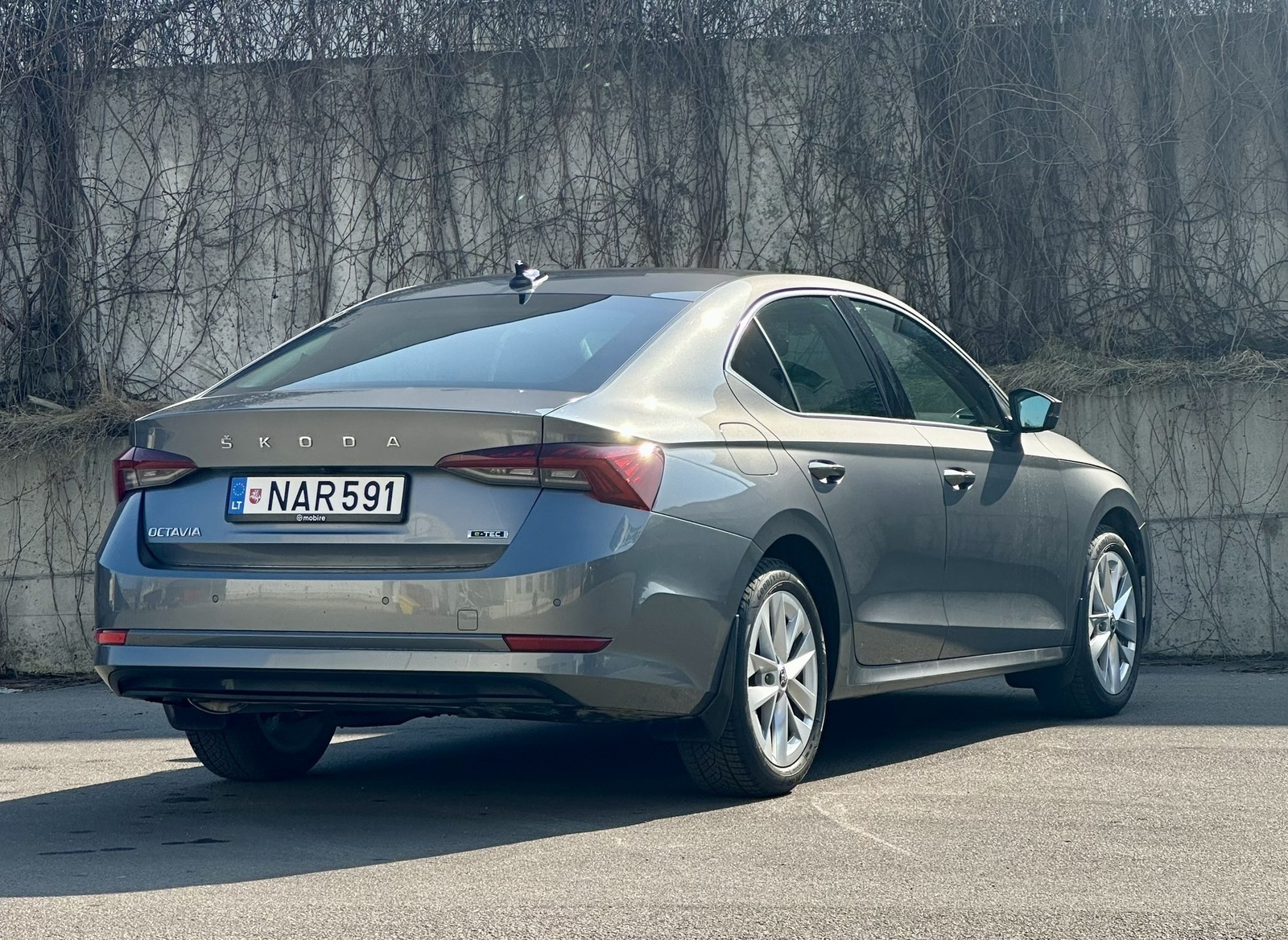 Škoda Octavia 2024, photo 2/18
