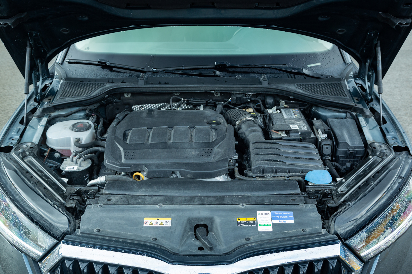 Škoda Octavia 2020, photo 7/16