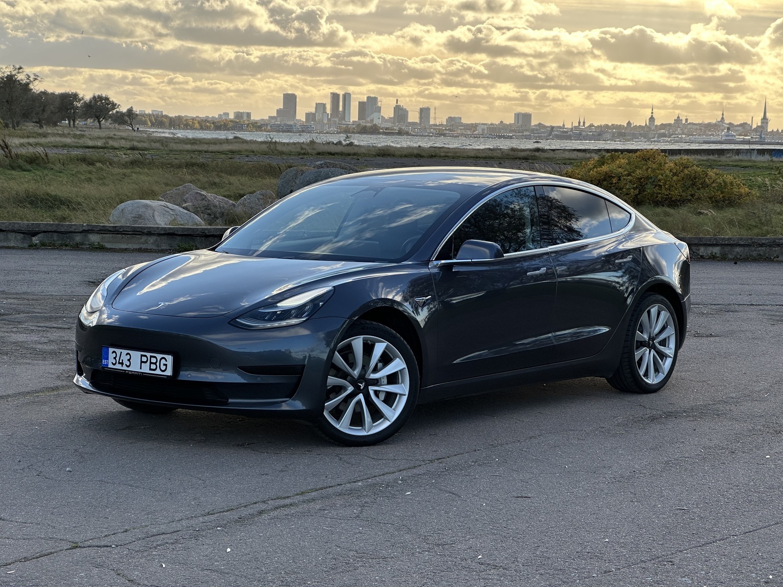 Tesla Model 3 Standard Range Plus 239 KW 100kW