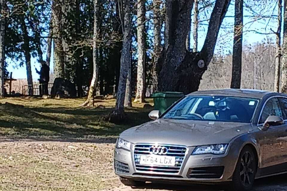 Audi A7, diisel, automaat, esivedu