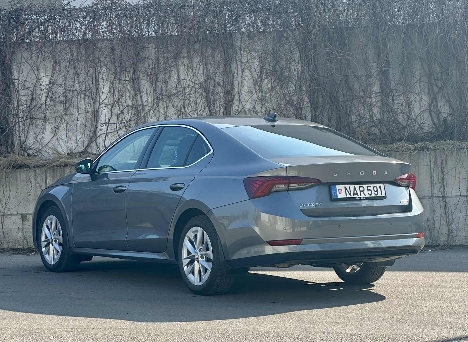 Škoda Octavia 2024, photo 4/18
