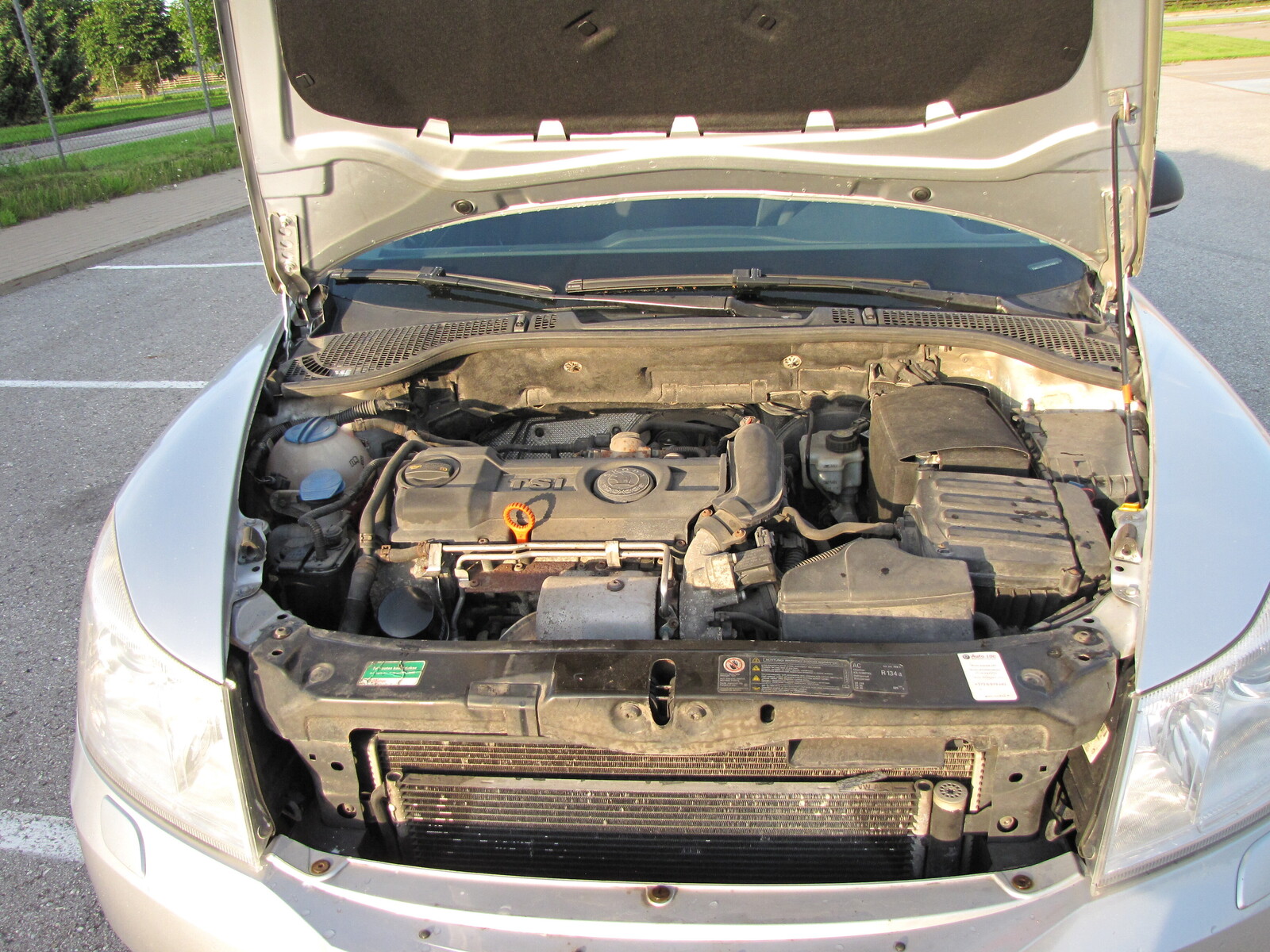 Škoda Octavia 2011, photo 7/8