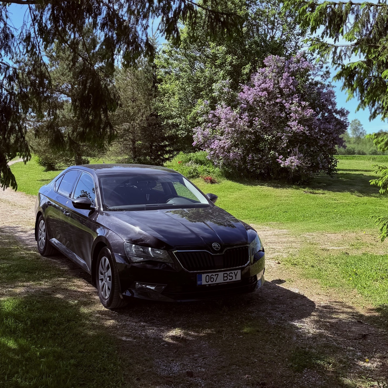 Škoda Superb 2016, kuva 7/10