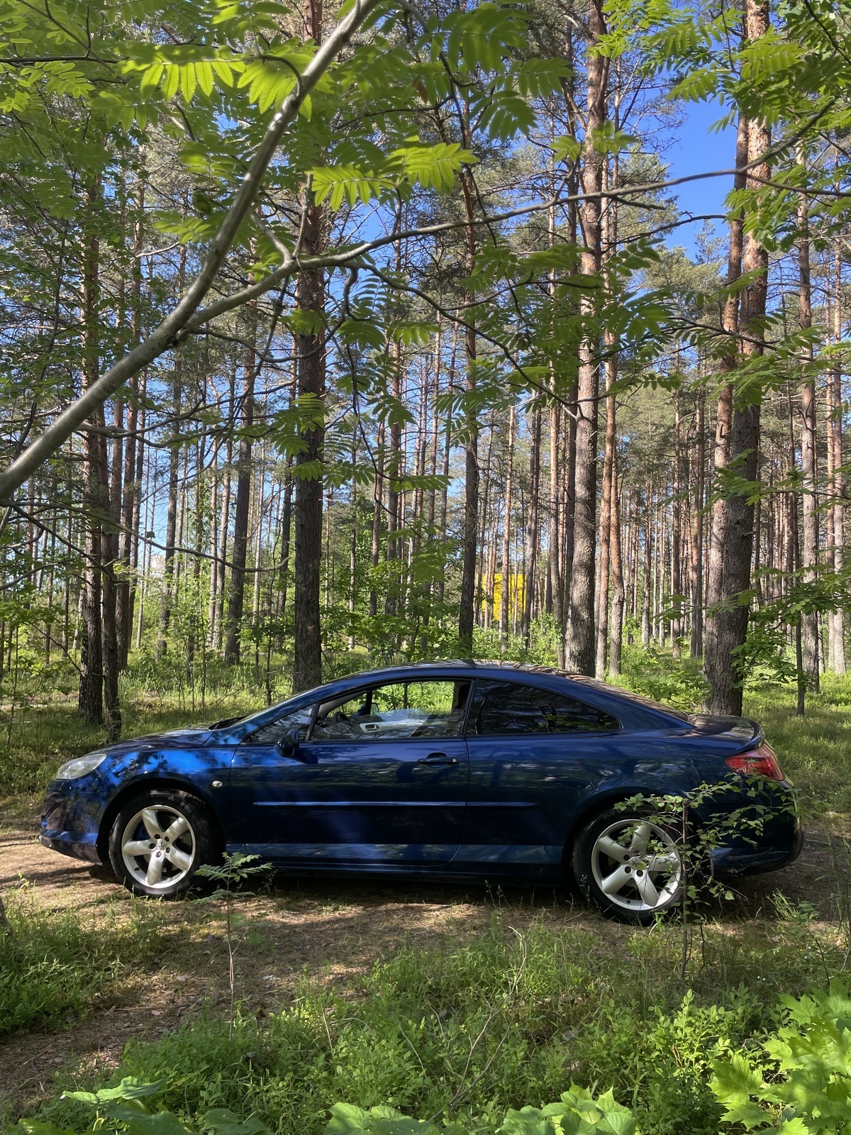 Peugeot 407 2007, photo 3/29
