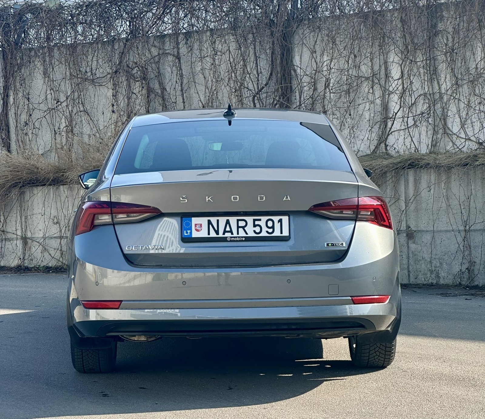 Škoda Octavia 2024, photo 6/18