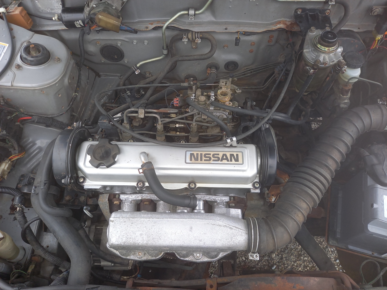 Nissan Sunny 1987, photo 7/9