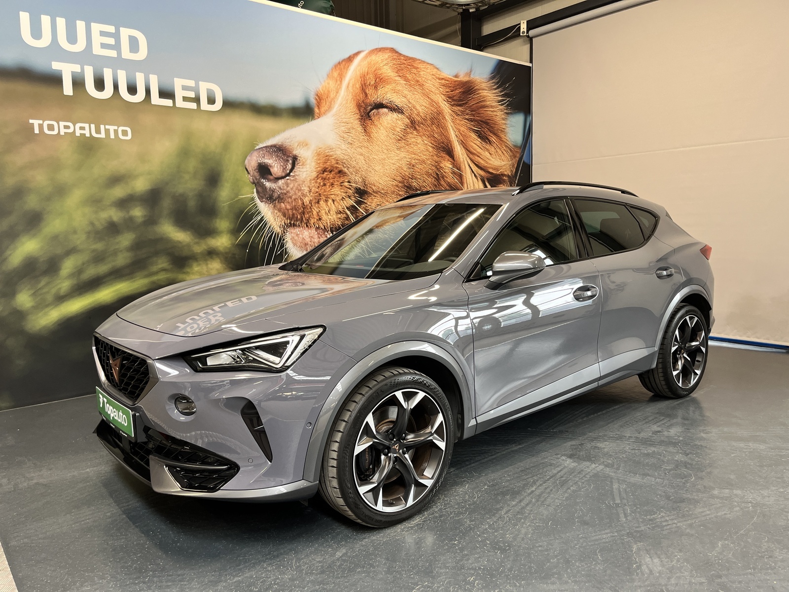Cupra Formentor VZ 2.0 TSI 228kW