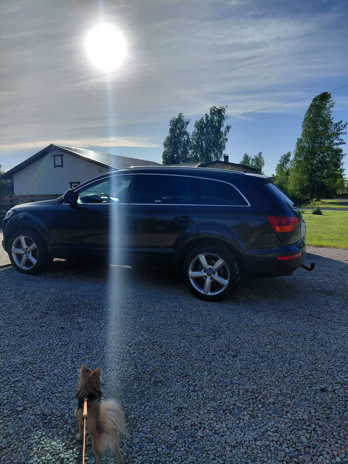 Audi Q7 2008, kuva 5/15