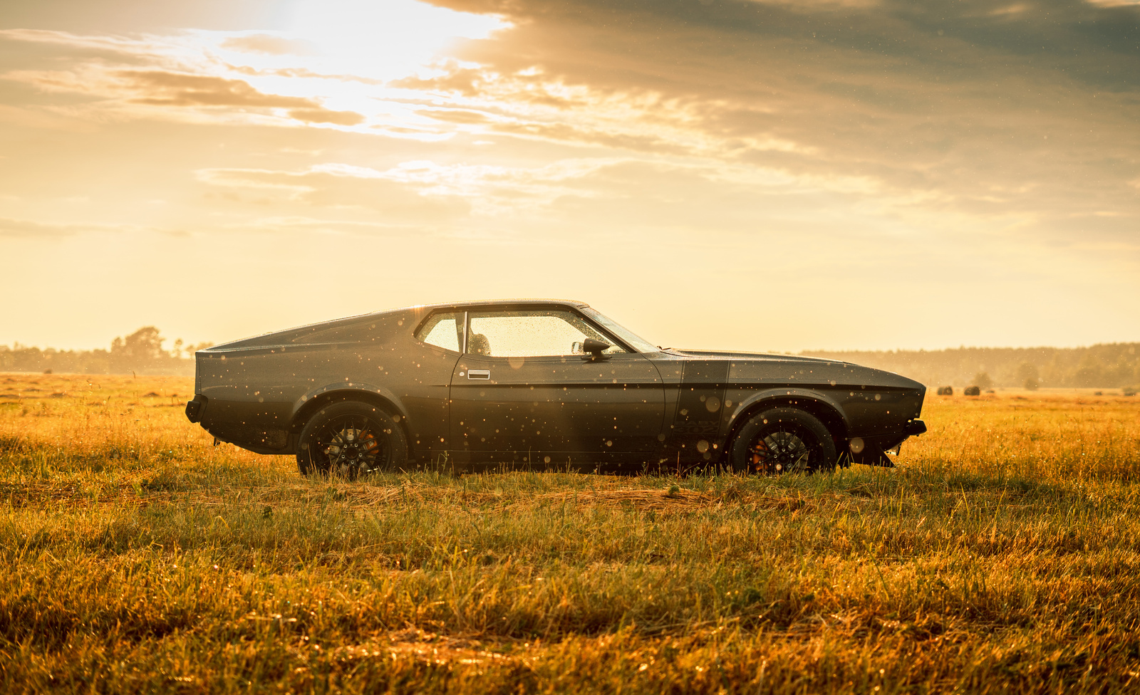 Ford Mustang 1973, photo 3/12